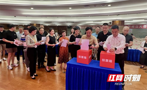 湖南省商业综合体服务协会成立 着力推动行业发展